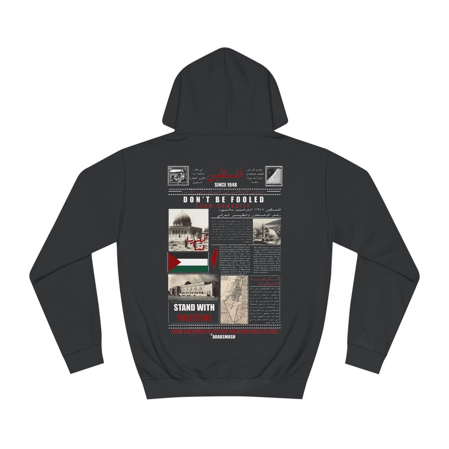 History of Palestine Hoodie ๐ต๐ธ ููุณุทูู