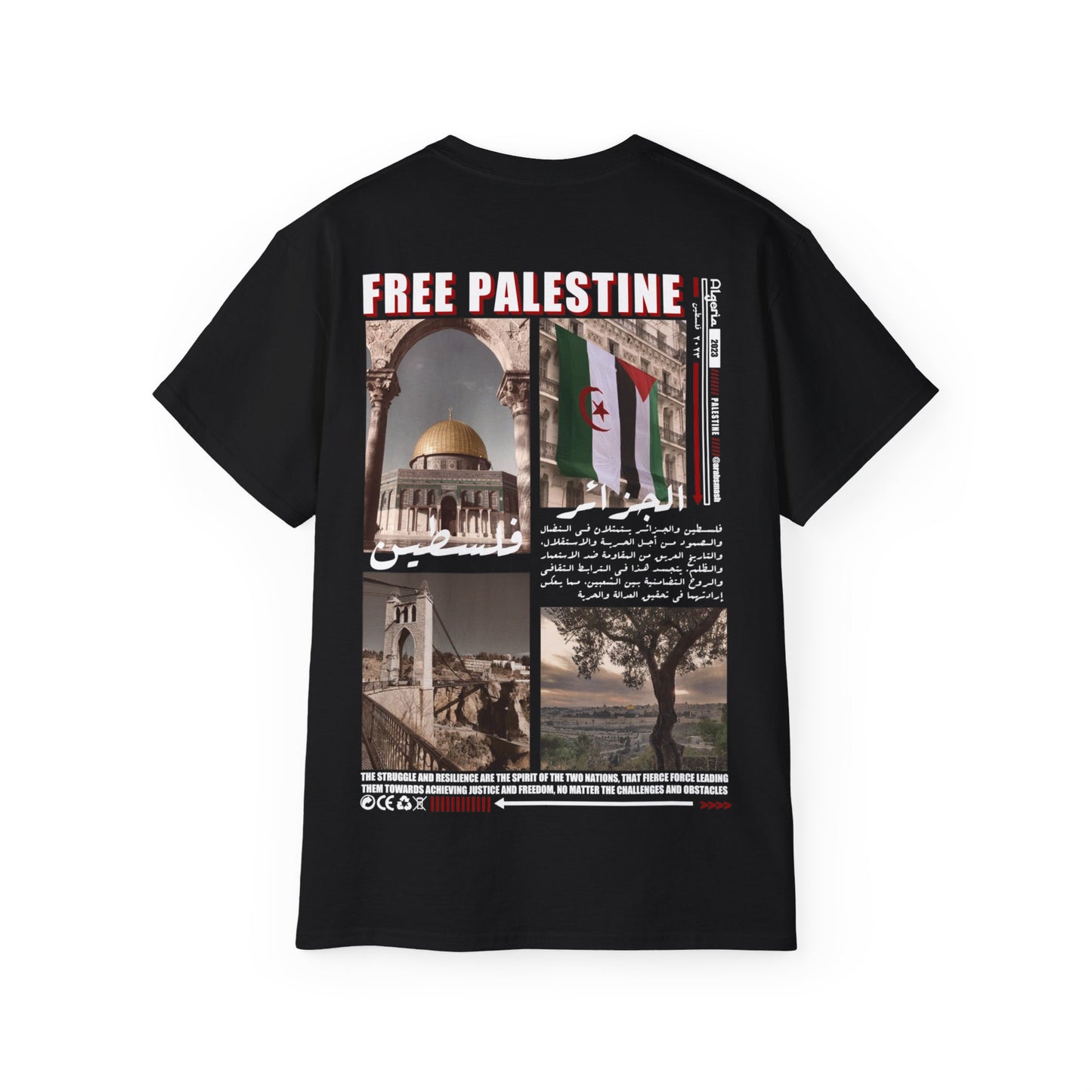 Palestine & Algeria Tee فلسطين  الجزائر 🇩🇿 🇵🇸