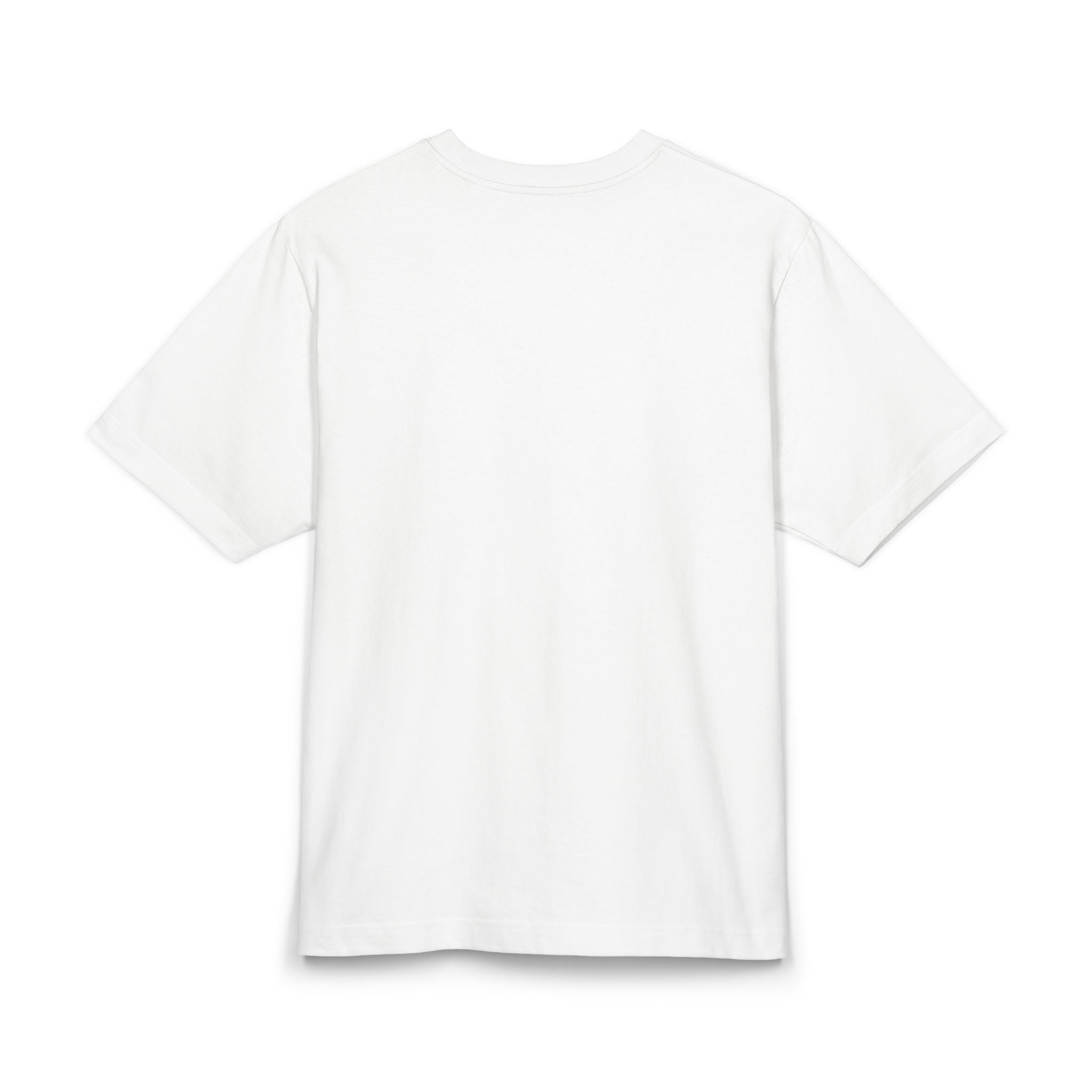 HERZEGOVINA TOUR Bosnia oversized Tee 🇧🇦