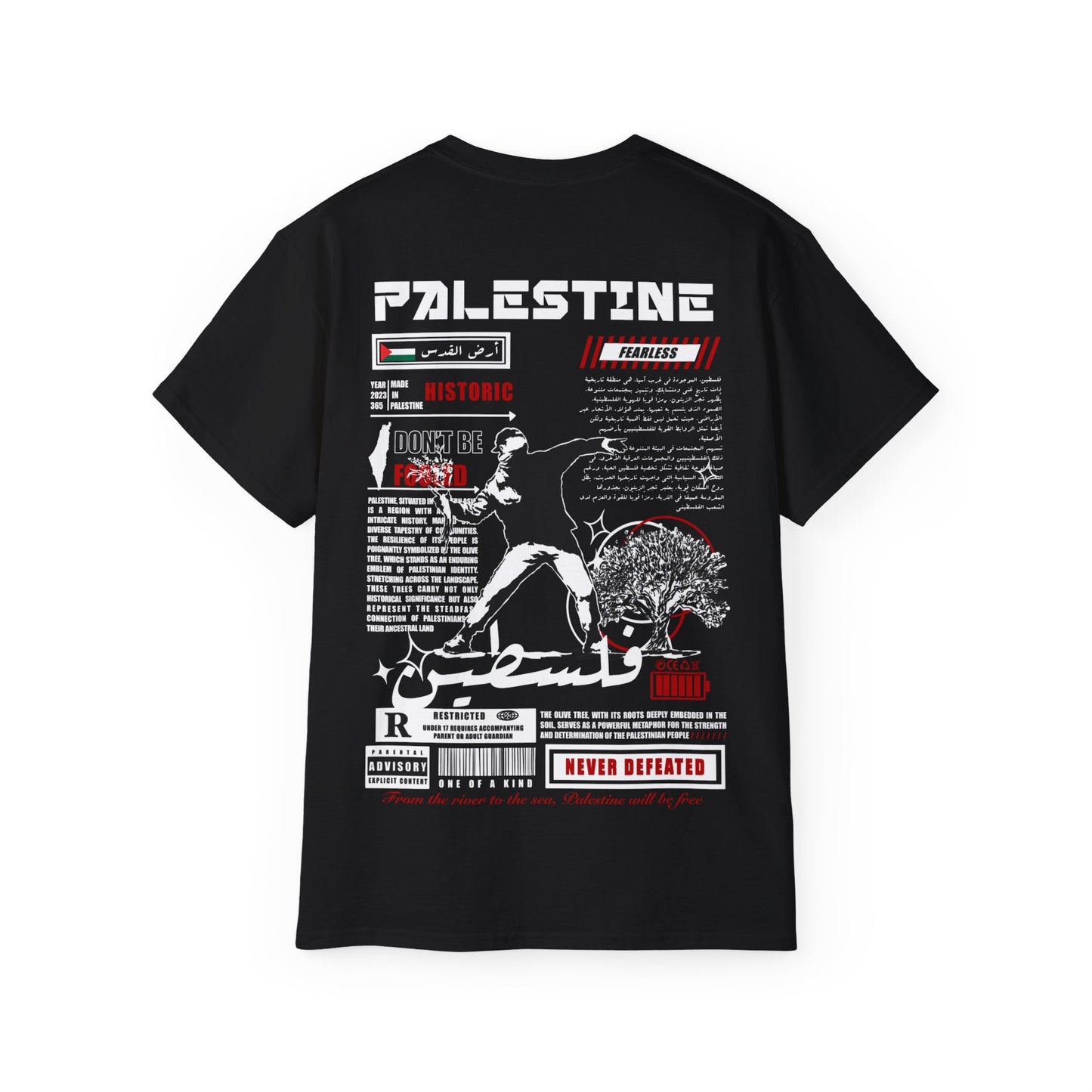 Palestine 2 Tee فلسطين 🇵🇸