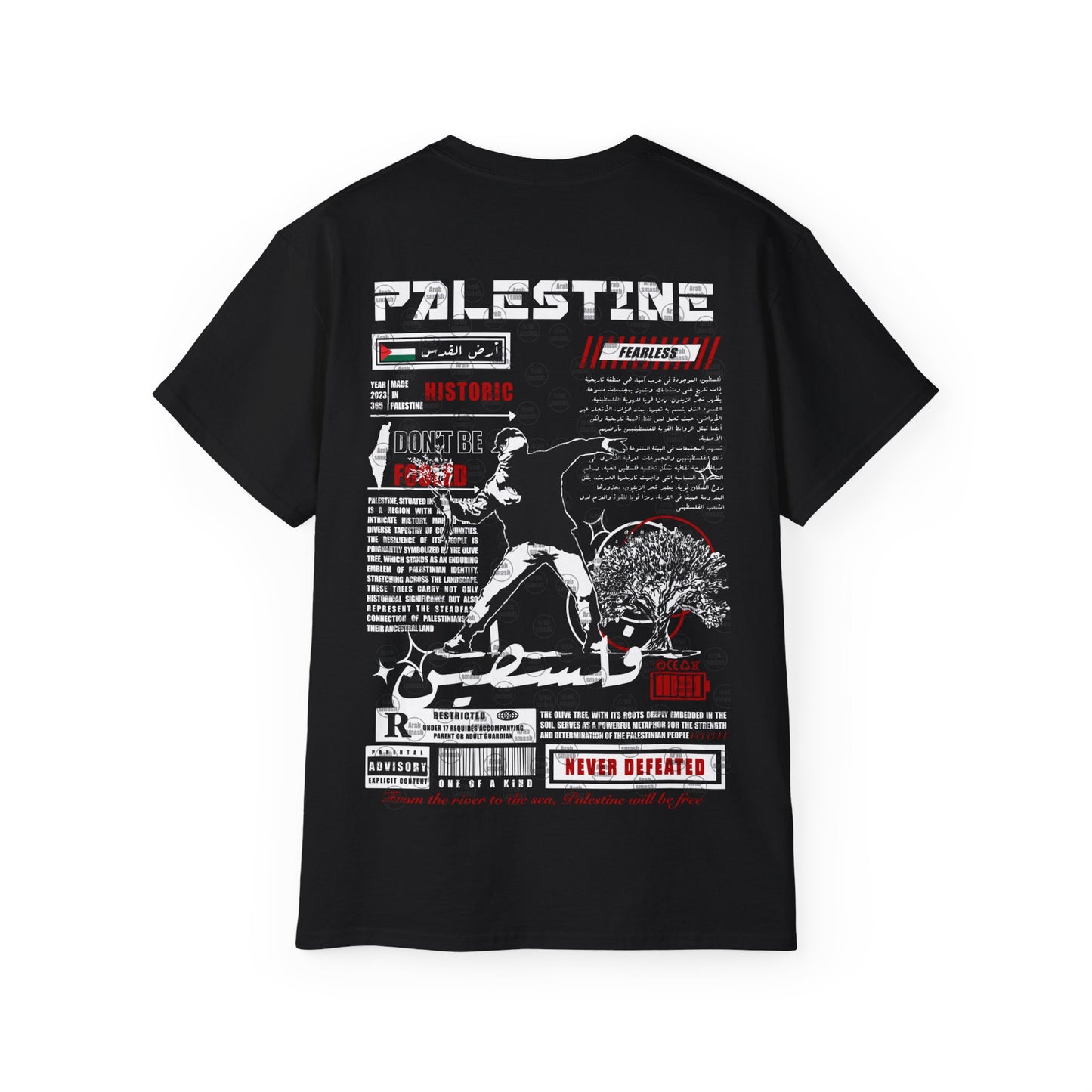 Palestine 2 T-shirt  فلسطين 🇵🇸